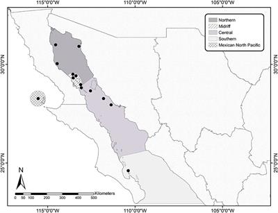 Transcriptional Profiles of California Sea Lion Peripheral NK and CD+8 T Cells Reflect Ecological Regionalization and Infection by Oncogenic Viruses